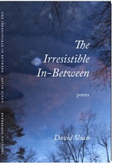 The Irresistible In-Between by David Slaon