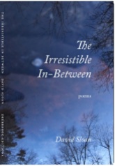 The Irresistible In-Between by David Slaon
