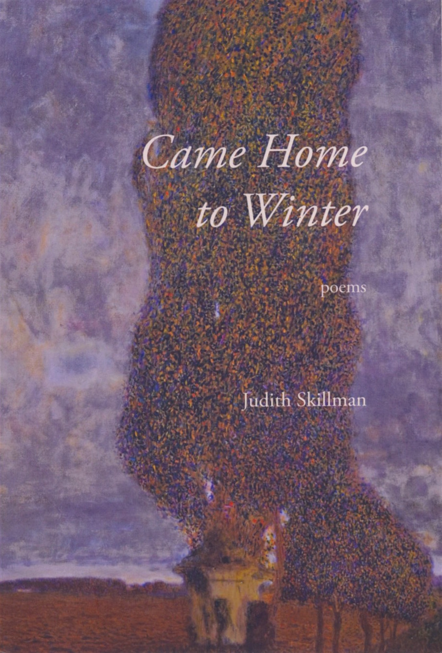 Came Home to Winter cover