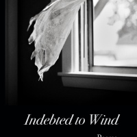 Some poems from Indebted to Wind by LR Berger